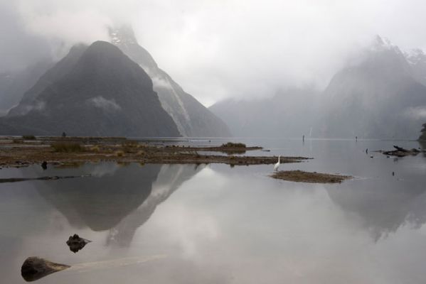 NeuseelandTe Anau Nebel