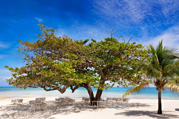 HDHotelTansaniaSansibarBawe IslandBaobab Restaurant 3