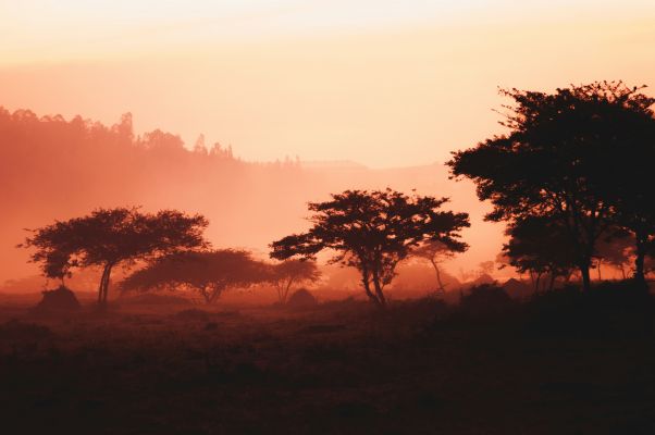 HDRuandaAkagera National Park