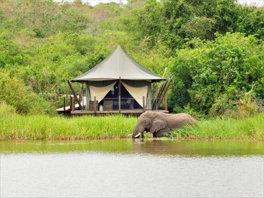 HDHotelRuandaWilderness Magashi CampElephant at Magashi 1